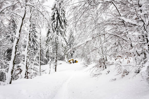 paisaje blanco durante la temporada de invierno en altopiano di asiago italia - sport magazine day usa fotografías e imágenes de stock