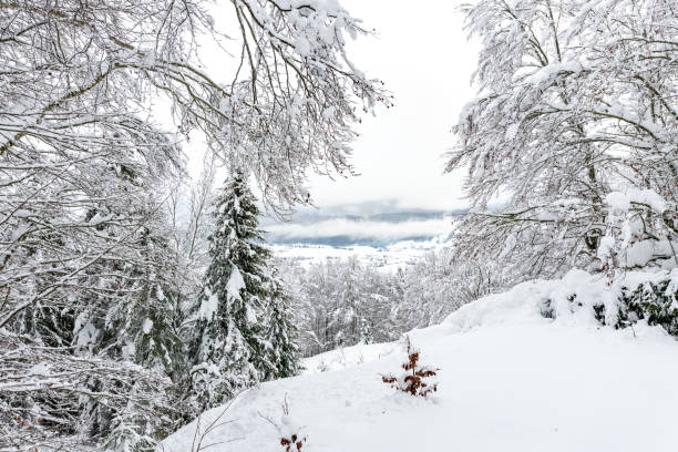 paisaje blanco durante la temporada de invierno en altopiano di asiago italia - sport magazine day usa fotografías e imágenes de stock