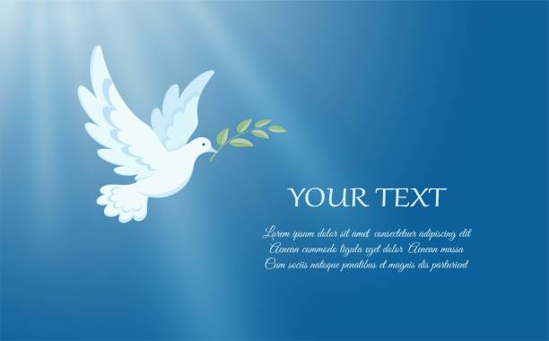 белый голубь летит на голубом небе - голубь stock illustrations