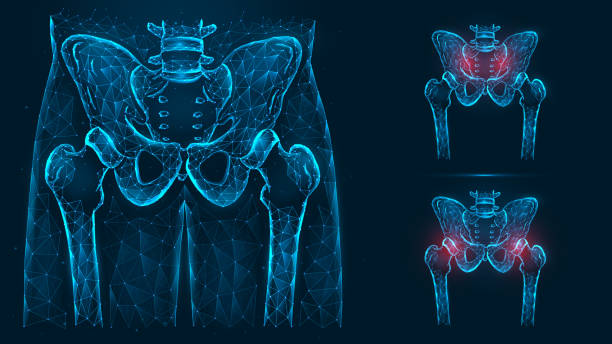 kości miednicy i biodra, ludzka anatomia. urazy miednicy i biodra. x ray stawu biodrowego wykonany z linii i kropek izolowanych na niebieskim tle. - biodro stock illustrations