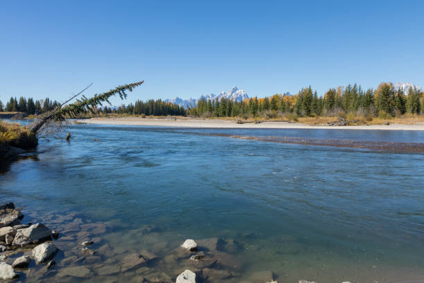 istock Autumn Along the Snake River Wyoming 1297277125