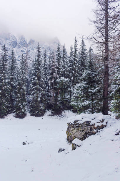 bellissimo paesaggio invernale con montagne innevate vicino al lago verde (gruner see), famosa destinazione per passeggiate e trekking nella regione della stiria, austria - gruner foto e immagini stock