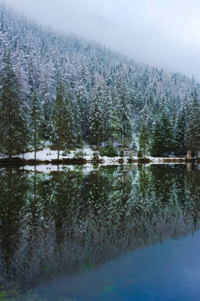 niesamowity zimowy krajobraz z zaśnieżonymi drzewami i czystymi wodami zielonego jeziora (gruner see), znanym miejscem turystycznym w regionie styrii, austria - gruner zdjęcia i obrazy z banku zdjęć