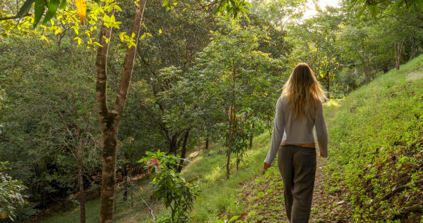 istock Young woman walks through tropical rainforest in the morning 1297278501