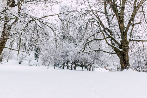 istock Suomenlinna in Helsinki, Finland at winter 1297278877