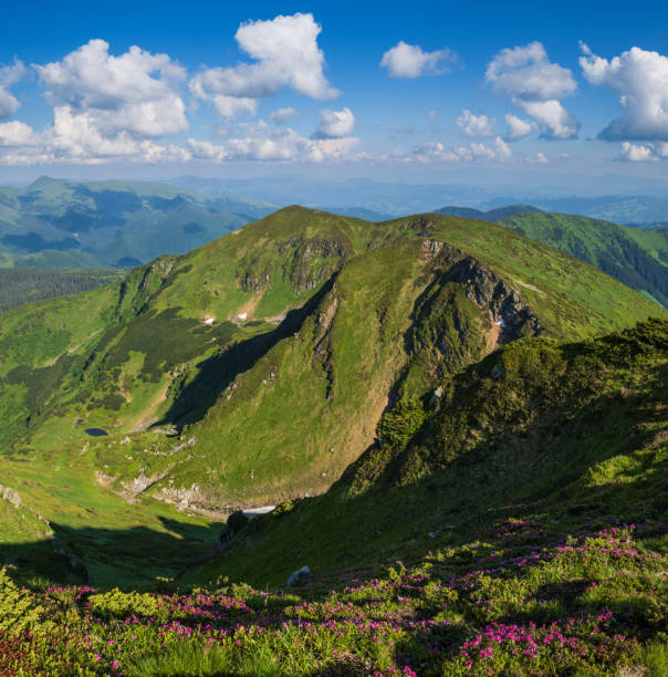 istock Summer Carpathian mountain rocky ridge, Ukraine 1297280205