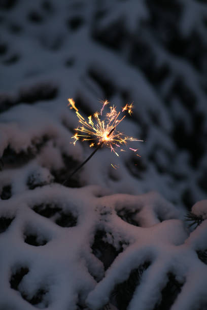 istock Snow-covered spruce branch and sparkler 1297281317