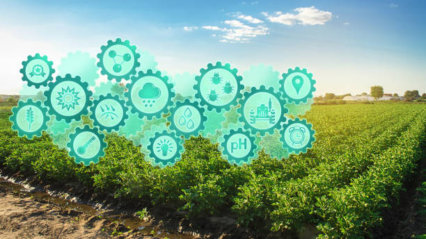 istock Smart farm system, innovation technology. Agricultural management, startups, improvements. Innovation and development. Potato plantation on a farm on a sunny day. 1297281619