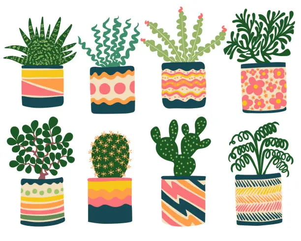 Vector illustration of Succulent Houseplants in Fun Planters