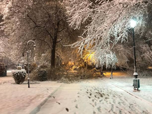 istock Snow Landscape in the Park 1297284477