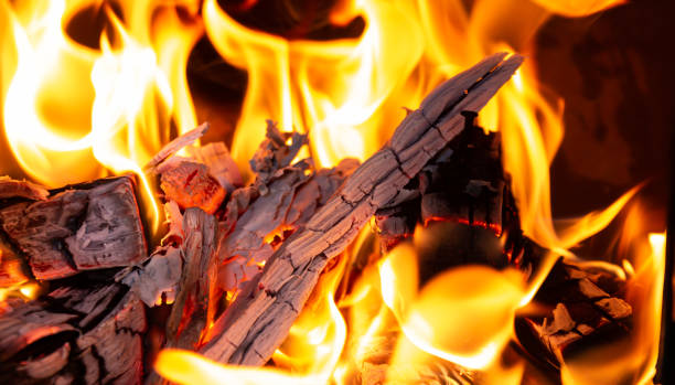 istock burning bushes are burning in flames. 1297284548
