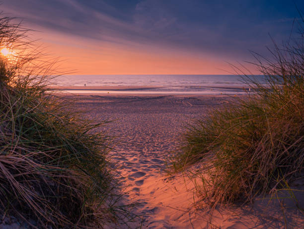 istock Sandy path leading from marram grass covered dunes towards a colorful sunset 1297286459
