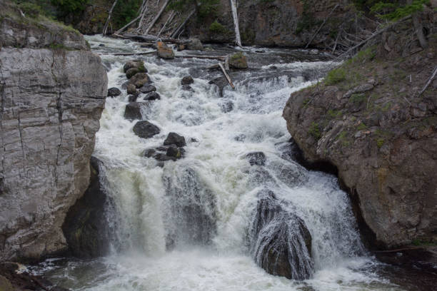 istock Firehole Falls, Yellowstone, Wyoming 1297287135