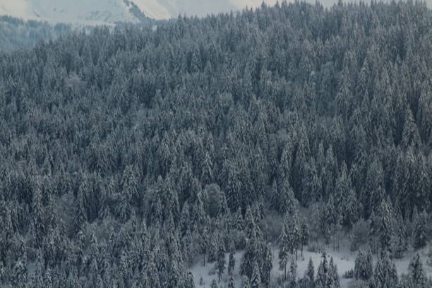 istock Snowy view in Haute Savoie 1297287390