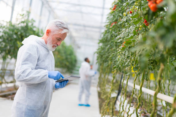 istock Male botanist using digital tablet in greenhouse 1297289101
