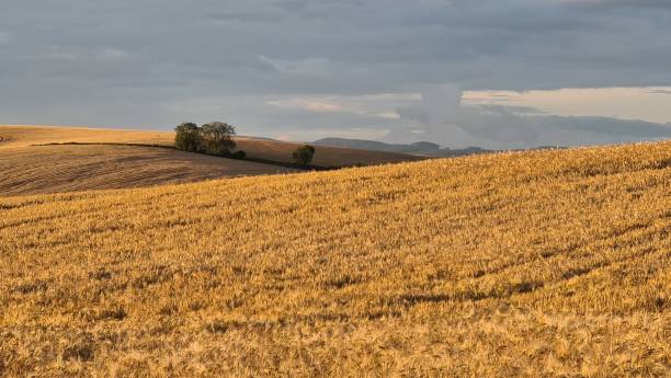 istock Moravian tuscany in Czech Republic 1297289330