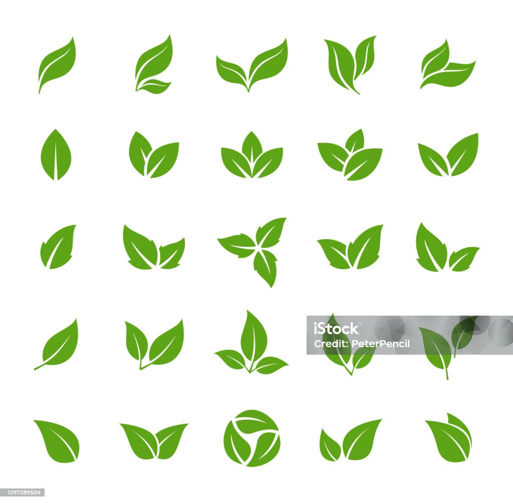 Blätter-Symbol - Vektor Stock Illustration. Leaf Shapes Collection - Lizenzfrei Blatt - Pflanzenbestandteile Vektorgrafik