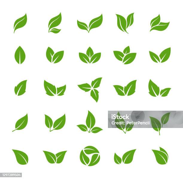 Blättersymbol Vektor Stock Illustration Leaf Shapes Collection Stock Vektor Art und mehr Bilder von Blatt - Pflanzenbestandteile