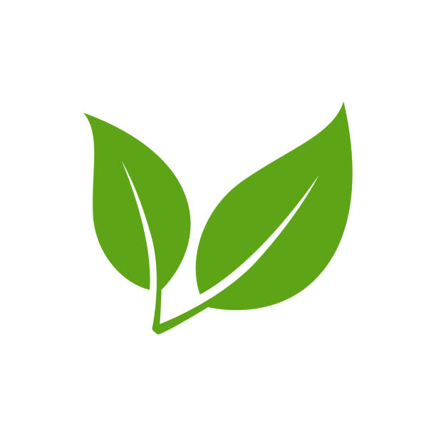 ilustrações de stock, clip art, desenhos animados e ícones de leaf icon - vector stock illustration - leaf logo