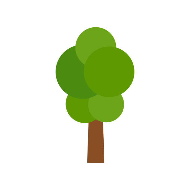 illustrations, cliparts, dessins animés et icônes de arbre - illustration vectorielle de dessin animé - pine tree forest summer evergreen tree
