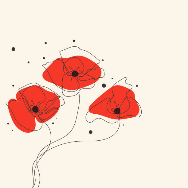 Hand drawn red poppy flowers Hand drawn red poppy flowers. Vector illustration in minimalistic sketch style. poppies stock illustrations