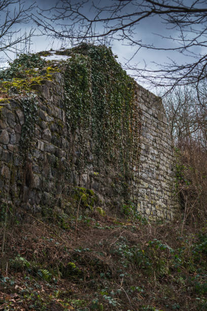 istock Remains of a overgrown ruined castle under dramatic sky. 1297290749