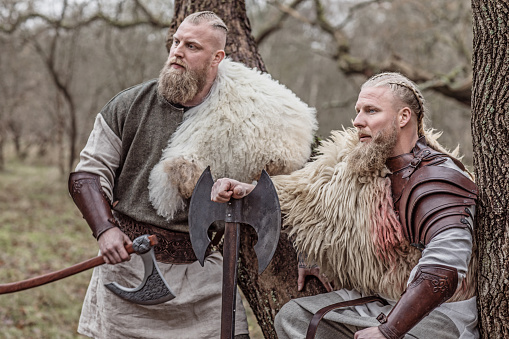 Two blonde viking warrior brothers holding weapons in a wintry forest
