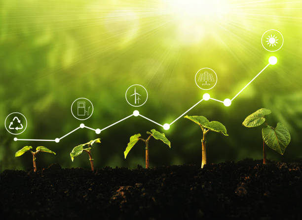 istock Young  plants growing at sunlight with increase graph and icons energy sources for renewable. Sustainable development. Environment and ecology concept. 1297291958
