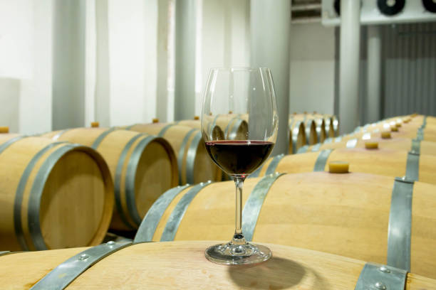 istock Barrels in the wine 1297292278