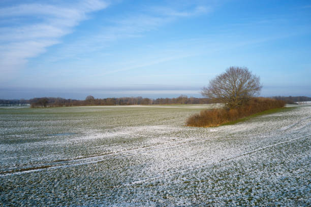 istock Agricultural field with snow 1297293923