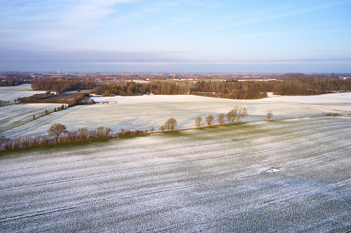Danish nature. Typical fields in Denmark. Small with living hence. January sunny day. Snow is a rare guest in Denmark.