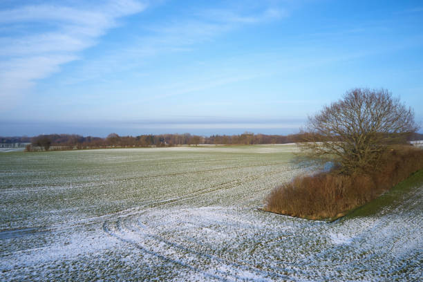 istock Agricultural field with snow 1297294587