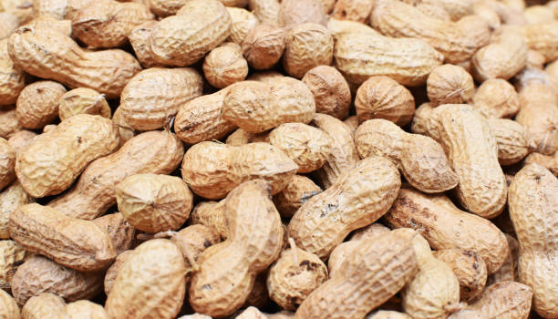 istock Roasted Peanuts, In Shell, Background, Heathy Eating, Food, Vegetable 1297295196