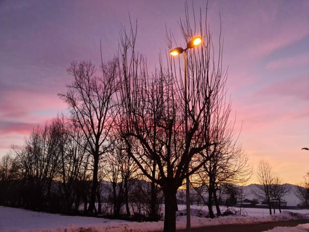Shades of a winter sunset