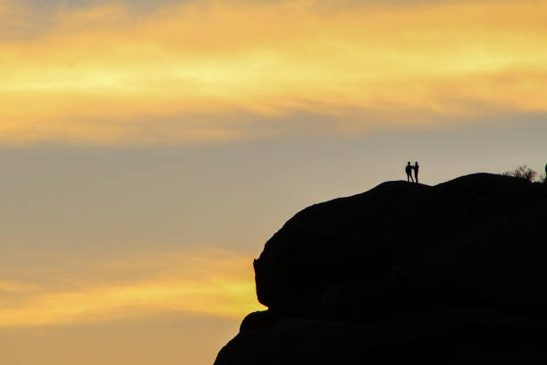 tramonto nel deserto silhouette - hiking sonoran desert arizona desert foto e immagini stock