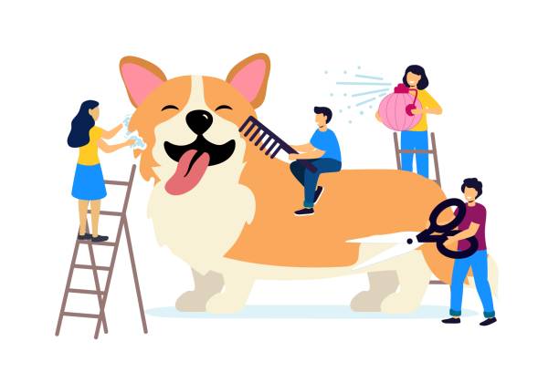 Peluquero De Animales Vectores Libres de Derechos - iStock Peluquero De Animales Vectores Libres de Derechos - iStock