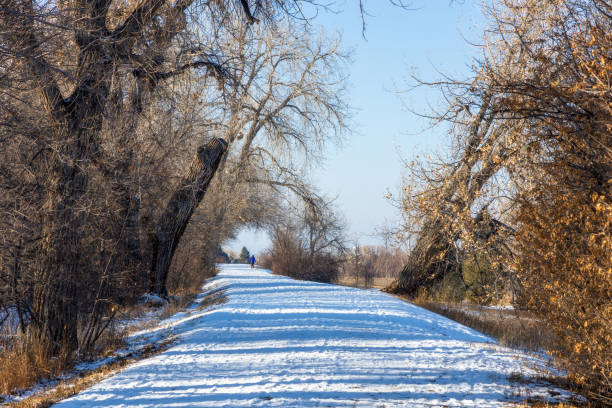 istock Winter landscape in deKoevend Park along the High Line Canal 1297299021