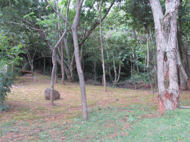 istock Serra do Curral Park - Belo Horizonte - MG 1297300278