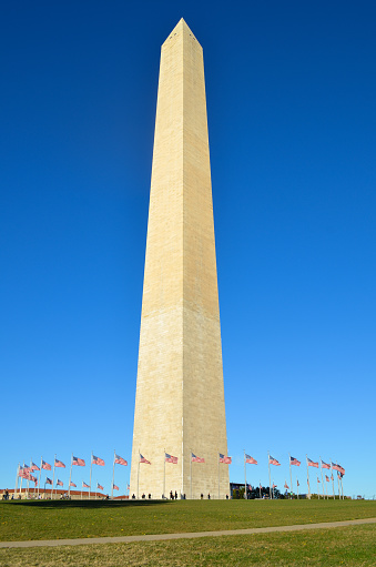 Washington Monument surrounded by American flags, on a sunny day, seen against a cloudless blue sky.