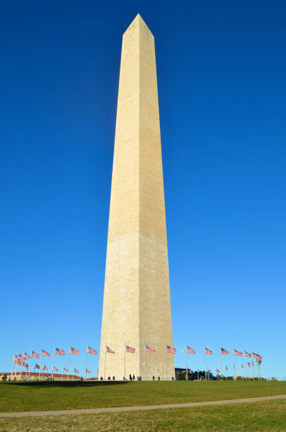 Washington Monument Against Cloudless Blue Sky Washington Monument surrounded by American flags, on a sunny day, seen against a cloudless blue sky. washington monument washington dc stock pictures, royalty-free photos & images