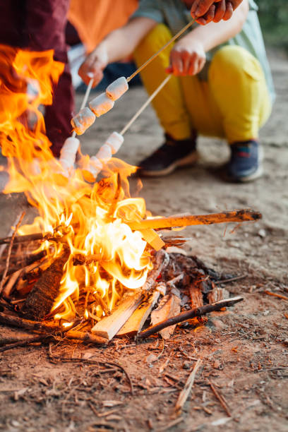 istock Group Of Young Friends Camping And Burning A Wood Fire 1297303600