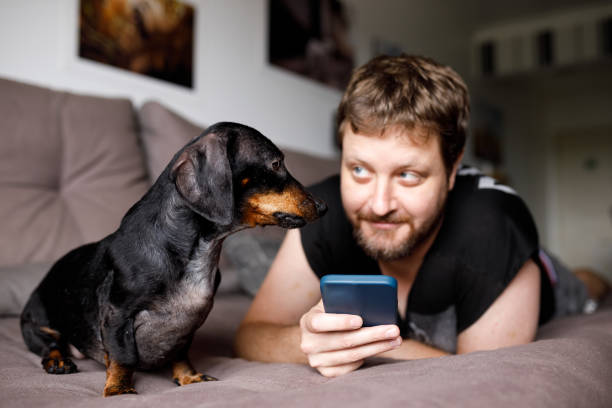 istock Man looking at his dog both relaxing on couch 1297303751