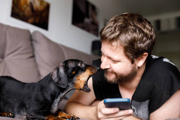 istock Dog barking at man using phone 1297303760
