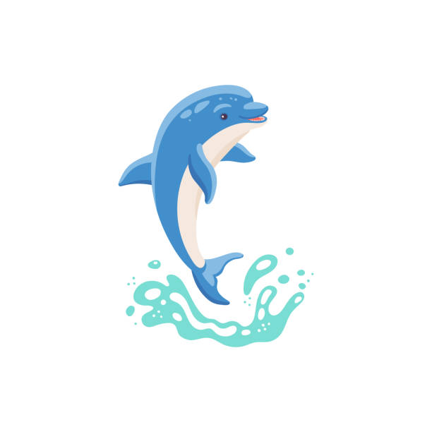 Cute blue cartoon dolphin jumps out of the water a vector isolated illustration. Cute blue cartoon dolphin jumps out of the water in the sea, ocean, pool, oceanarium or on performance in dolphinarium. Mammal wildlife animal. Vector isolated illustration dolphin stock illustrations