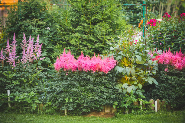 istock Beautiful garden with flowers 1297307692