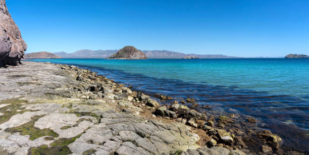 istock Rock Beach at Bahia Concepcion 1297308611