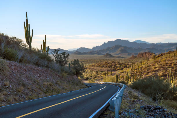 istock Baja Sur Road Trip 1297308879