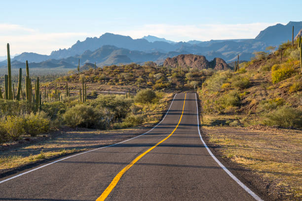On the road to Loreto On Highway 1 between Mulege and Loreto. Baja California Sur, Mexico. baja california peninsula stock pictures, royalty-free photos & images