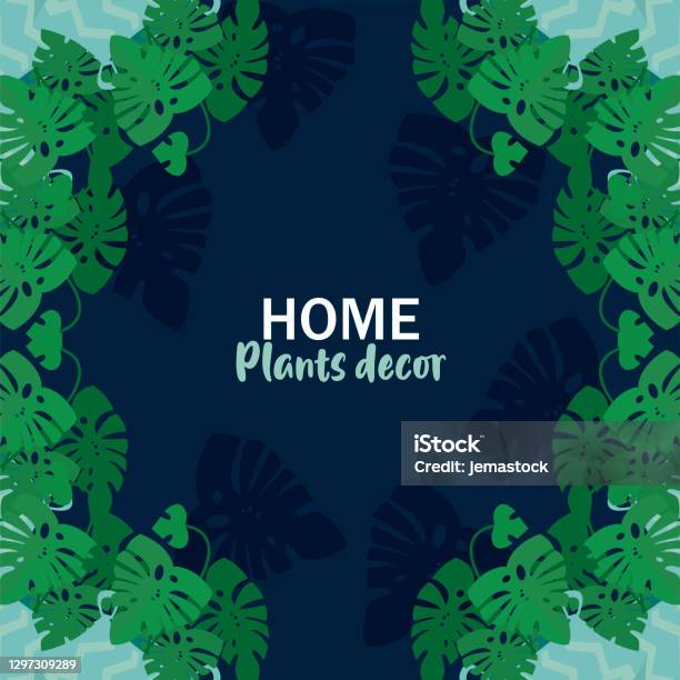 Botany Project Lettering Ideas Home Plants Decor Lettering With Leafs Frame Stock Illustration ...