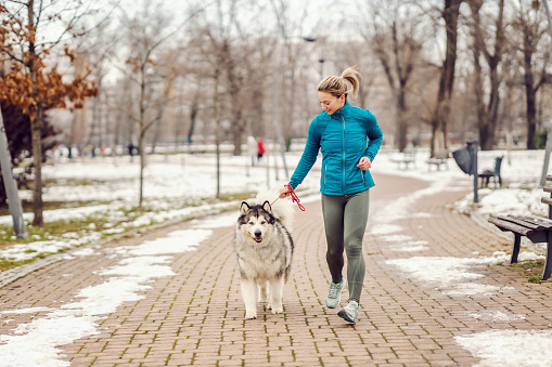 Sportswoman running with her dog in a park on cold winter day. Pets, winter fitness, runner, togetherness